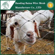 cheap bird netting agricultural bird netting rubber mesh netting