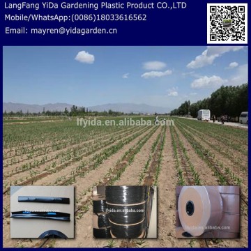 Efficient and Economic Fruiter Trickle Irrigation