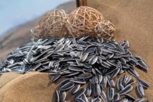 RONG DA SUNFLOWER SEED 601