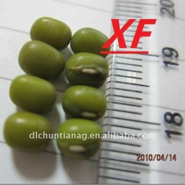 Green Mung Bean organic