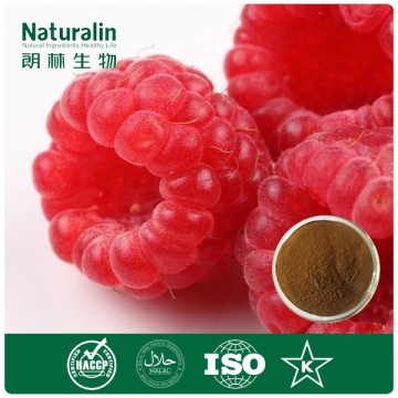 100% organic raspberry ketone cas no. 5471-51-2 for bodybuilding supplement