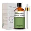 100 ٪ طبيعية طبيعية نقية أسعار شعرية Artemisia Wormwood Oil