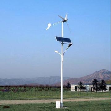 CE RoHS ISO9001 Certificated Solar Wind Hybrid Light