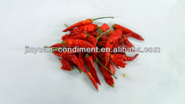 Dried Chilli / Chili Pepper