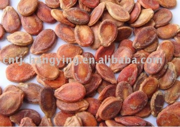 red melon seeds