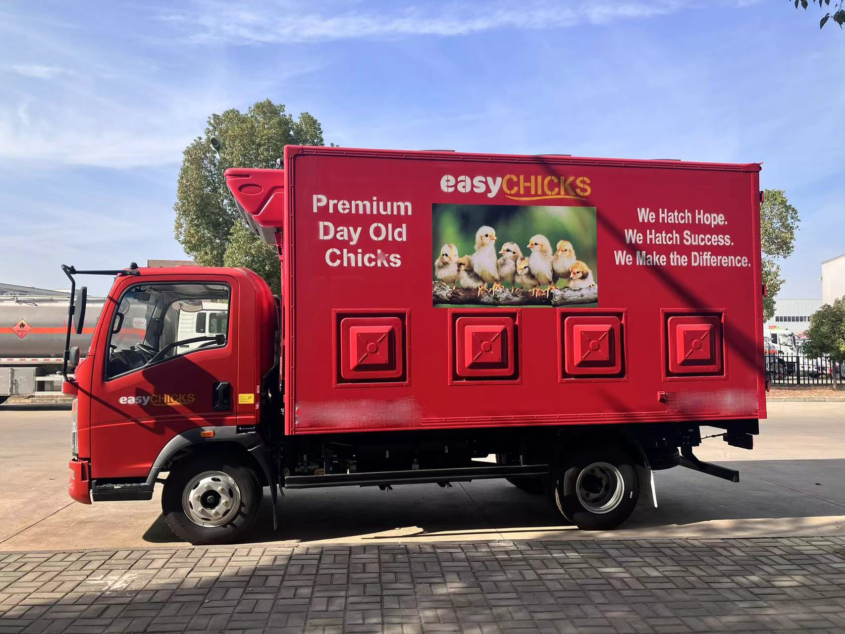 Carrier de pollitos (3) Baby Chick Carrier (3)