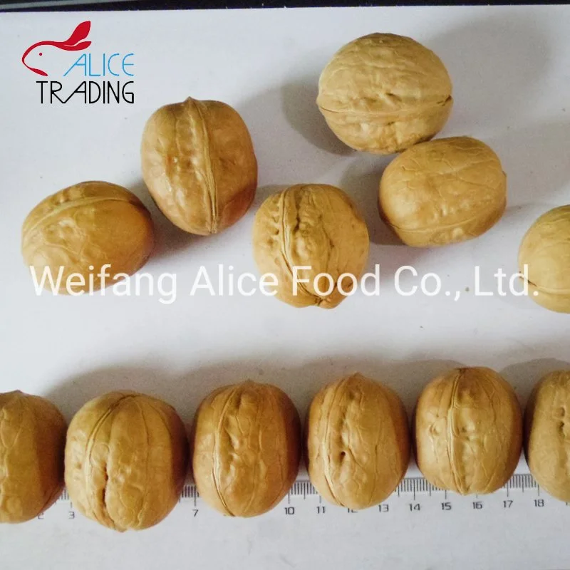 Low Price Wholesale Chinese Paper Shell Walnut