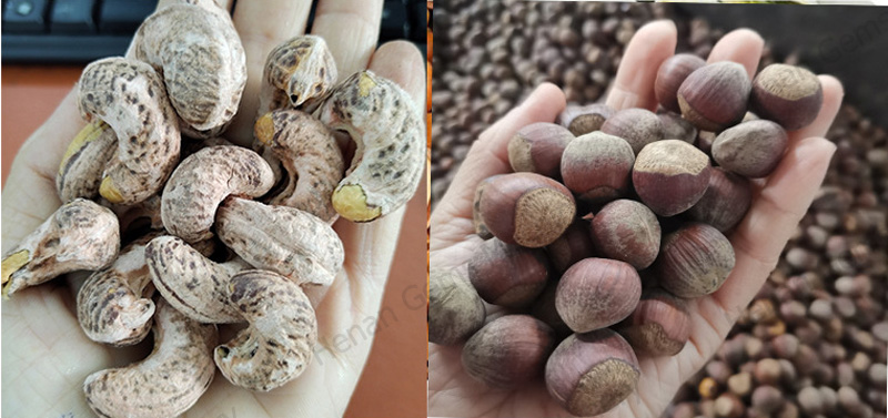 cashew nut cashew nut