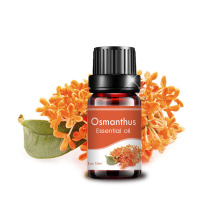 Vipodozi daraja 10ml safi osmanthus mafuta muhimu