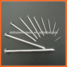 Common Wire Nail/Polish Common Nail