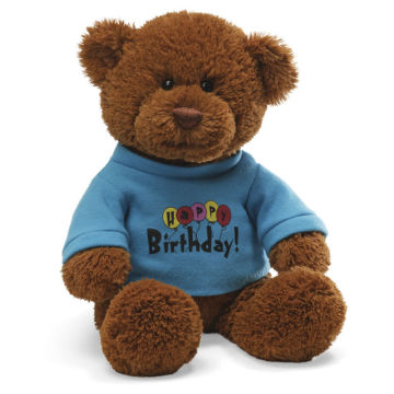 Custom personalized teddy bear with T shirt, plush teddy bear t shirts, plush bear shirt