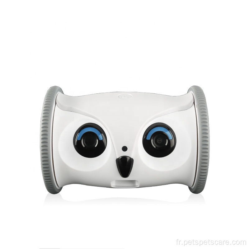 Jouets interactifs intelligents pour animaux de compagnie Jouet robot