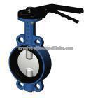 Electric Actuated Butterfly Valve PN16&PN25