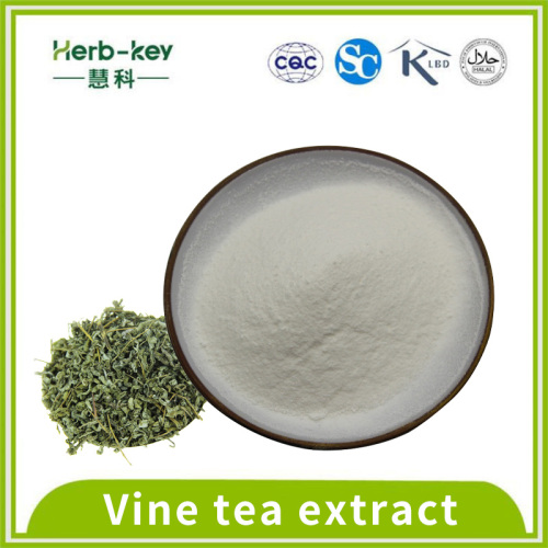 Antioxidant action Vine tea extract 98% dihydromyricetin