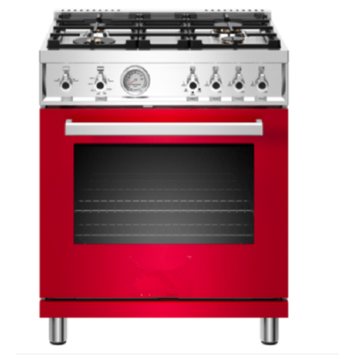 30 inch All Gas Range 4 Brass Burner