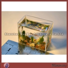 Smallest Aquarium Tank Acrylic Aquariums