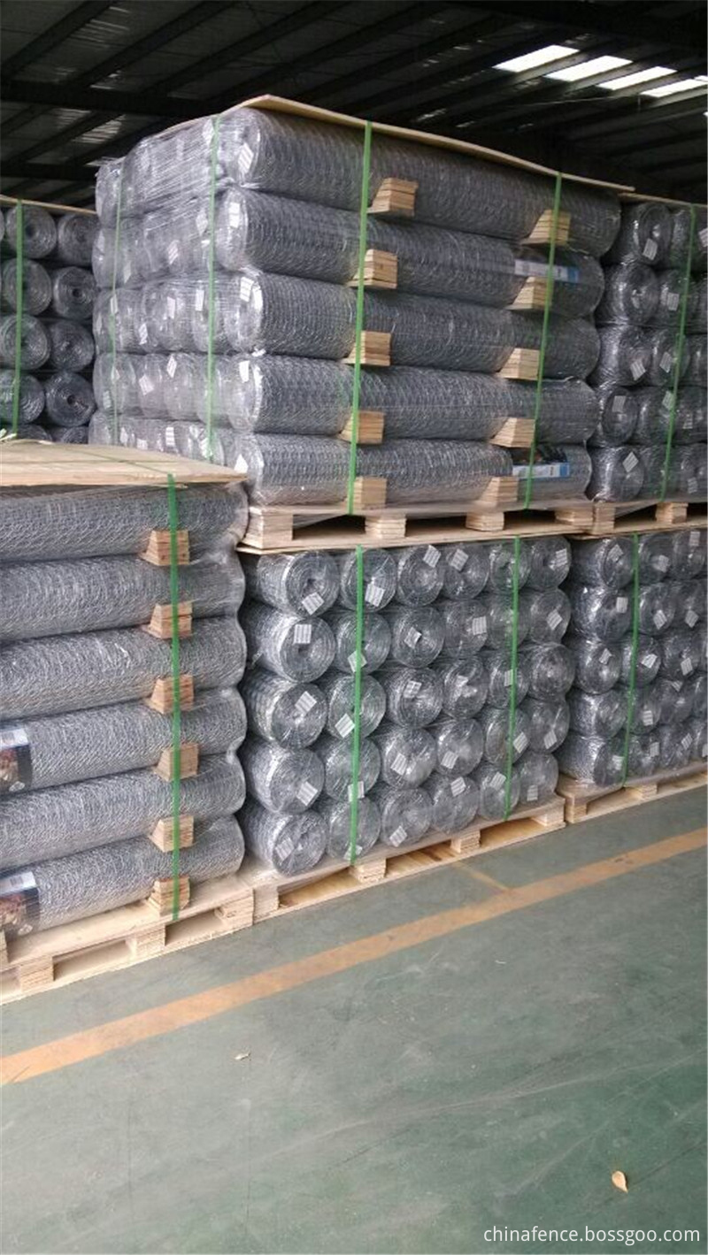 Hexagonal wire netting