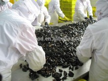 IQF blue mussel without shell