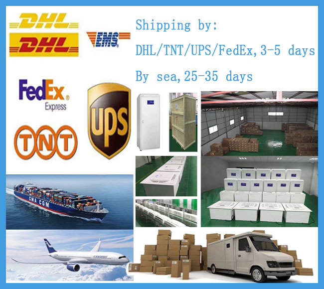 Envio Shipping