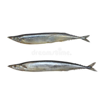 Conserves de poisson Saury en saumure saveur coréenne