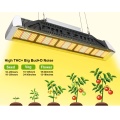 Horticulture Led Grow Lights Newest Technology