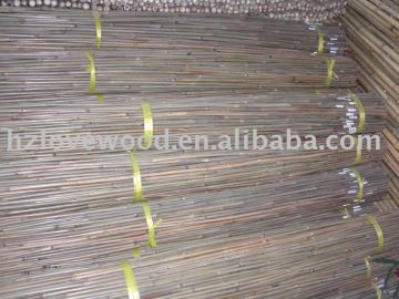 Bamboo Stick (Tsinglee Cane)