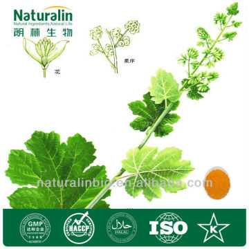 Macleaya Alkaloids Powder