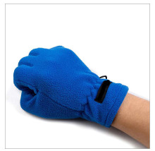 Thinsulate Fleece Outdoor Gloves