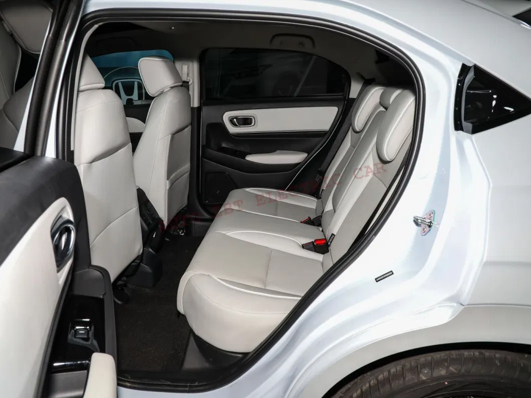 Made in China Smart Sports SUV High Speed E: Np1 Compact Pure Electric Private Car with Ternary Lithium Battery