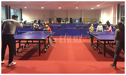 table tennis court 