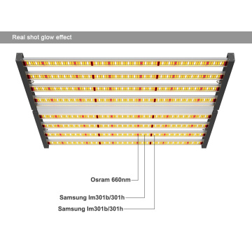 Dimmable Spectrum King은 성장하는 조명 640W를 이끌었습니다