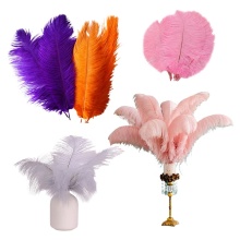 Wholesale Ostrich Feathers: Cheap Price Wedding Decoration and Festival Supplies