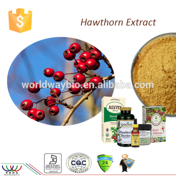 China factory supply FDA cGMP HACCP KOSHER hawthotn flavones fresh hawthorn berry extract Crataegus pinnatifida Bunge extract