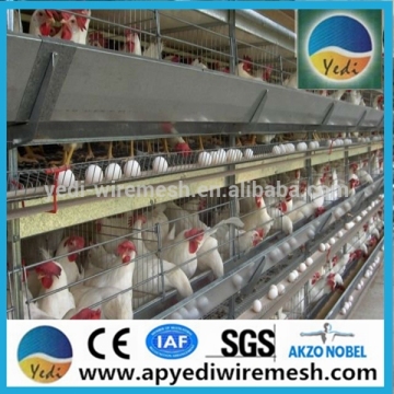 High quality !!!design layer chicken cages Battery Cages for Sale