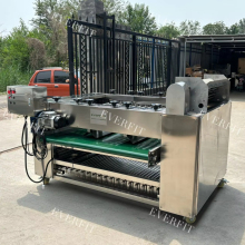 Fruit Date Sorting Machine: Palm Pineapple Roller Grader