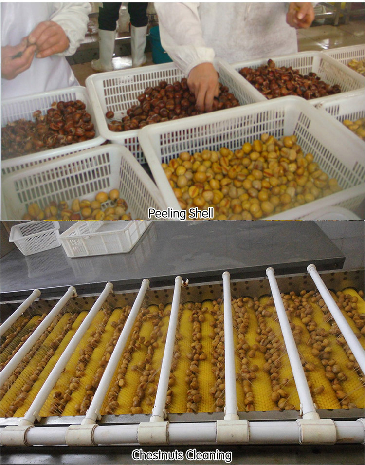 factory price frozen huairou chestnuts