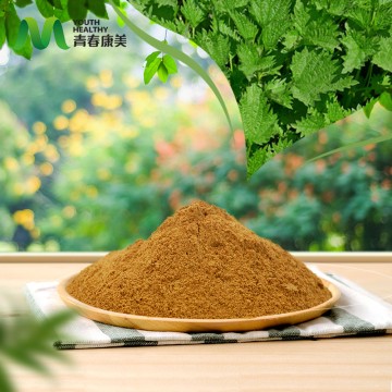 Nettle Extract for Anti Inflammatory Skin Care