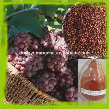 95% Polyphenols Grape Seed Extract Powder,Herbal Extract