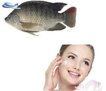Skin Care Raw Material Hydrolyzed Fish Collagen Peptide