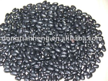 Black Kidney Bean