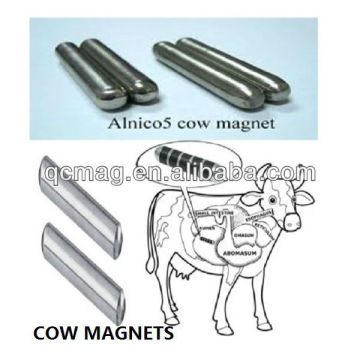 COW MAGNETS COW MAGNETS COW MAGNETS