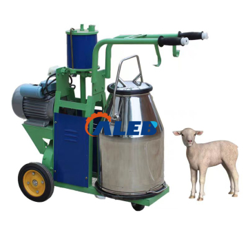 Affordable Milking Machines for Cattle, Buffalo, and Camels