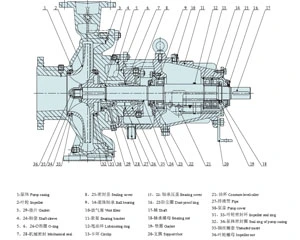 Petrochemical Process Pump