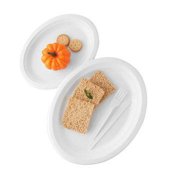 Disposable tableware biodegradable small bagasse oval plates