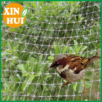 Anti-bird net, professional bird net, protect net