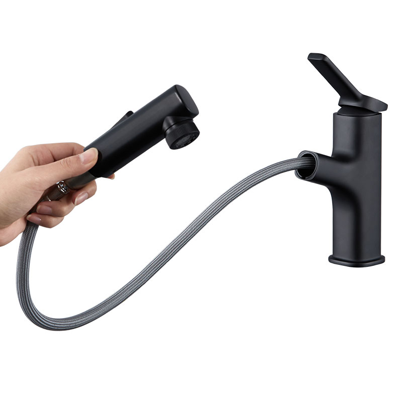 Matt Black Basin Mixer rostfritt stål vattenkran