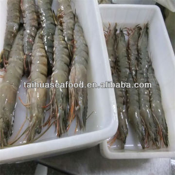 best quality frozen prawn shell