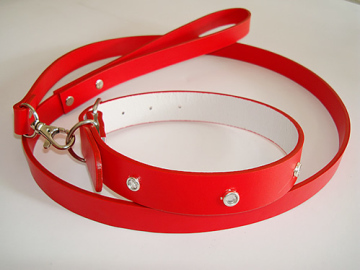 Dog Collars, Leashes (JBJ-P205)