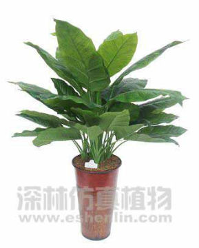 wholesale artificial anthurium plant,fake anthurium bonsai
