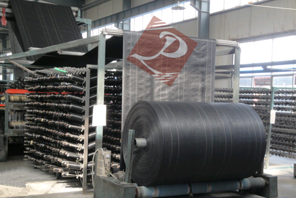 85gsm geofabic geotextile fabric with 14ga wire mesh 2''*4''